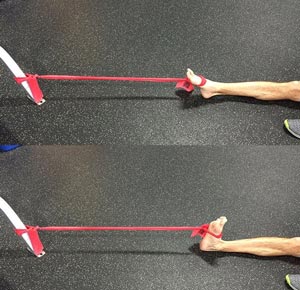 خم کردن مچ پا به سمت عقب